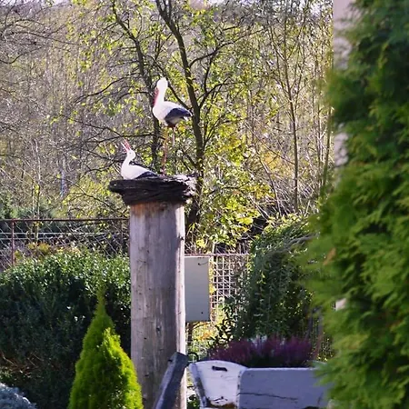 펜션 Domcek U Alina 립토브스카실른니카